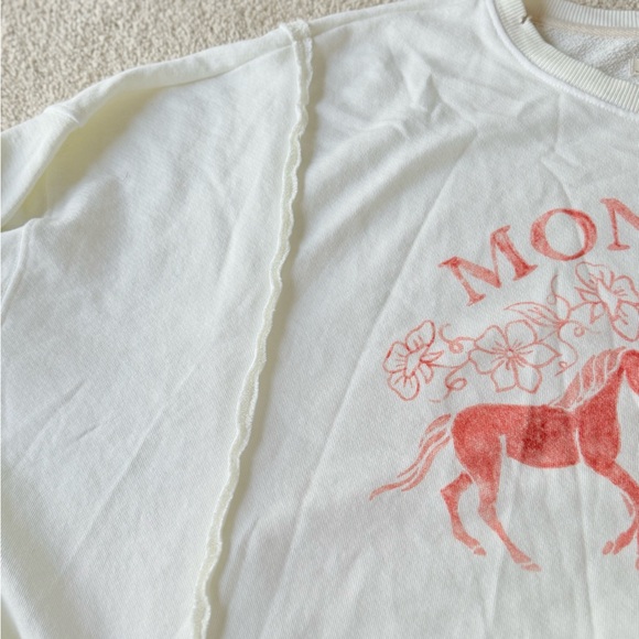 Free People Montana Graphic Camden Oversized Sweatshirt Size Small - Picture 11 of 14